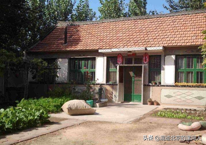 家狗突然不见了啥原因,农村的狗突然不见了是什么原因