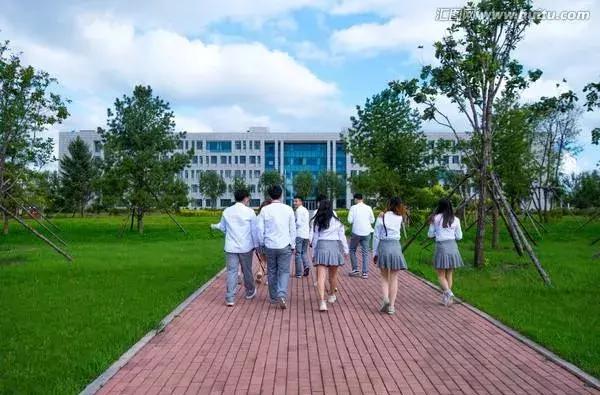 澶у湥鎺ㄨ崘宸ヤ綔,澶у湥鎶㈢彮鐏垫椿鐢ㄥ伐鐪熷疄鏁版嵁