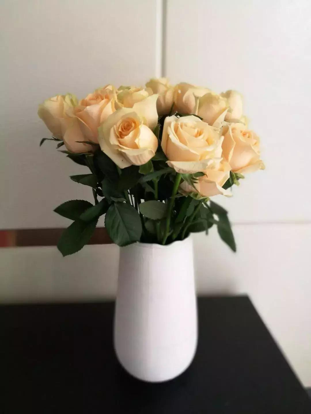 玫瑰鲜花养护方法和时间,玫瑰花束怎么养护延长花期呢