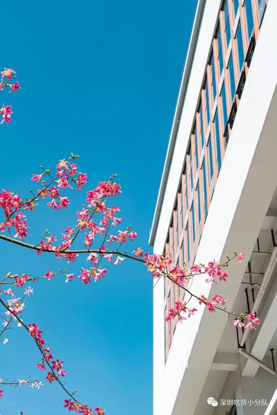 你好深什么意思,你好深秋