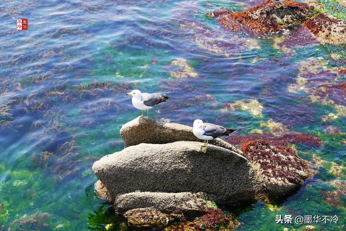 威海5月游记,威海最美一日游