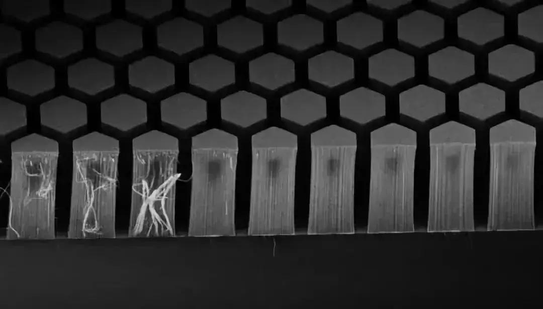 它比虚无的黑洞更黑，让全世界的瞳孔无法聚焦