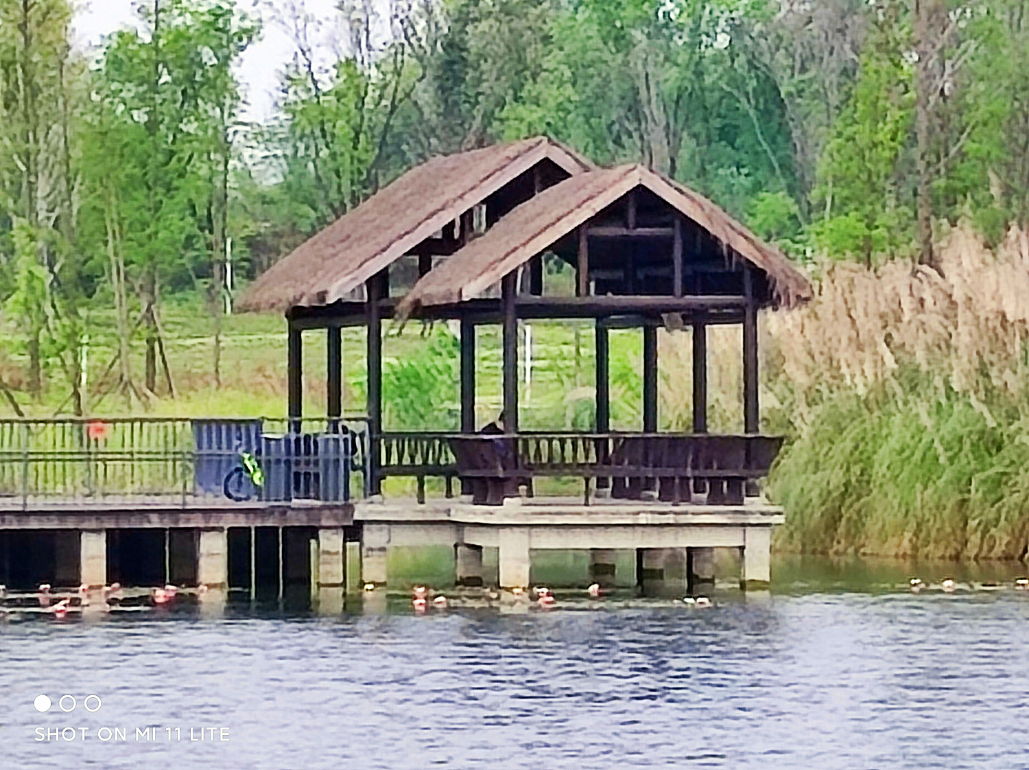 小米11青春版值得入手吗现在,小米11青春版目前还值得买吗