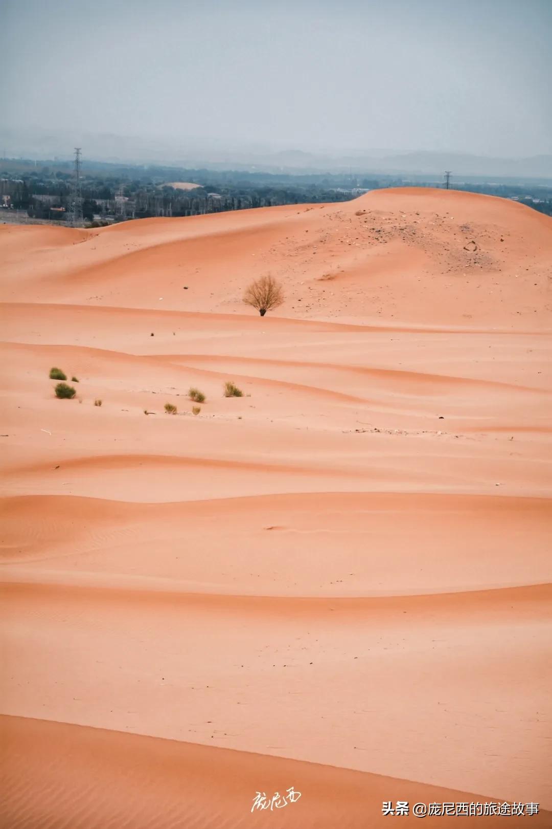 宁夏最值得去的景区,宁夏值不值得去的地方