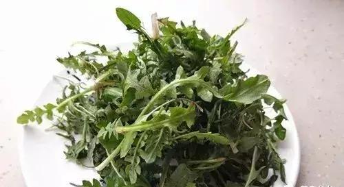 3斤枸杞不如1两它,天然青霉素,每天喝一杯,抵抗力强10倍