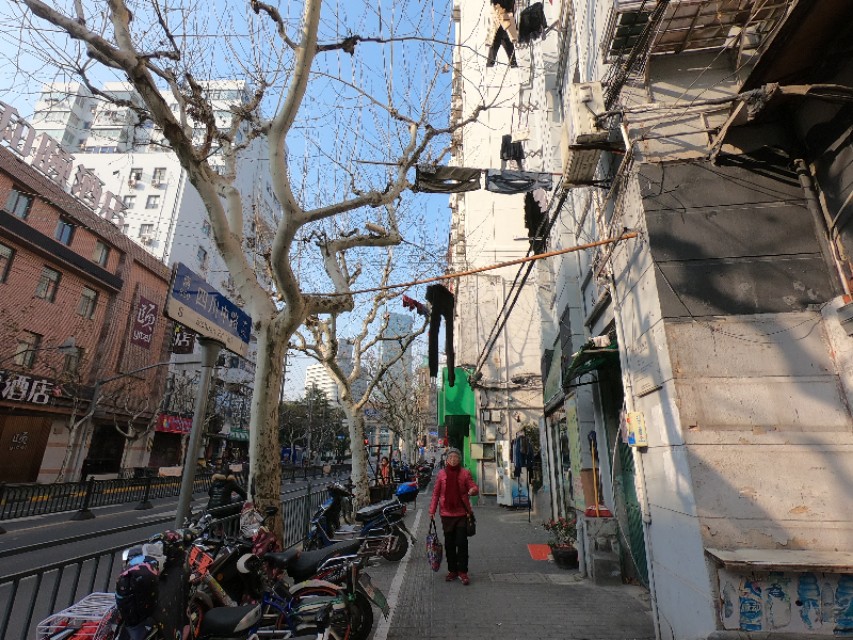 实拍上海干净的街道市容，不愧是一线城市，和你心中的魔都一样吗