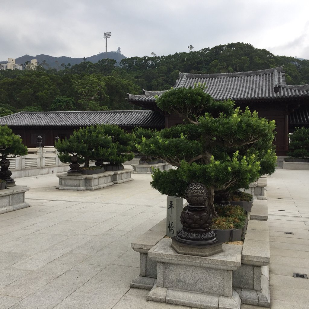 香港志莲净苑地图,香港志莲净苑好玩吗