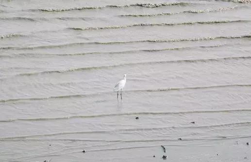深圳海岸线高清图,深圳比较漂亮的海岸线