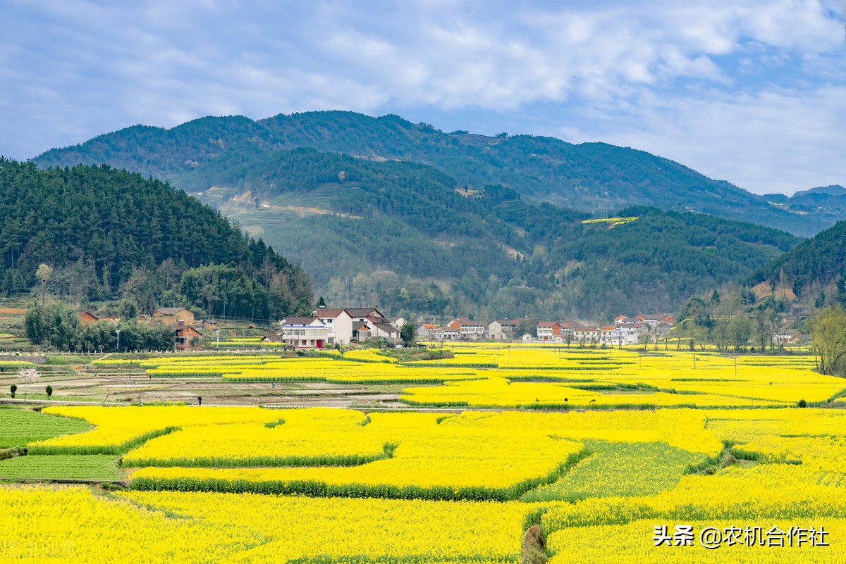 佳禾农业合作社,重庆市潼南区伟凤农机专业合作社