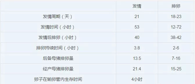 养猪怎么让猪怀孕,养猪方法母猪下奶