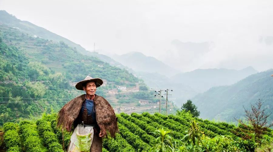 老成都盖碗茶茶艺表演的解说词,老成都盖碗茶茶艺