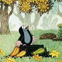 有什么好看的科普类动画片,好看的科普动画片