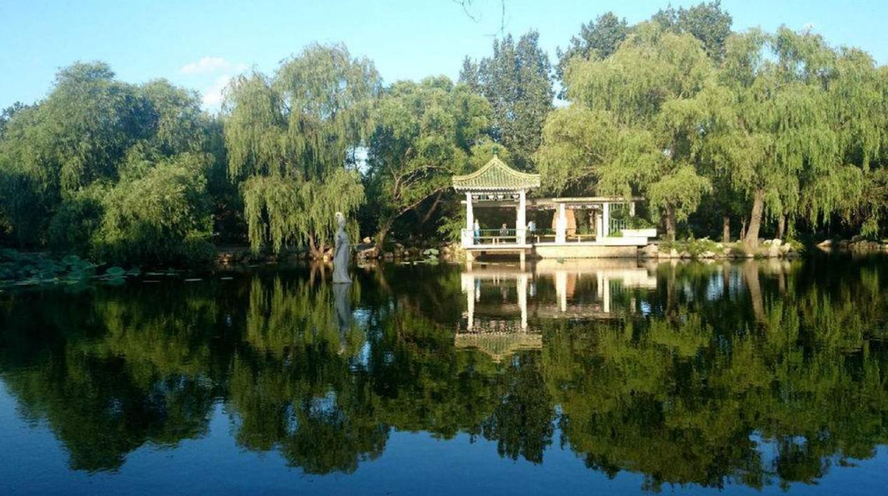 沈阳周边城市的森林公园,沈阳打卡景点公园