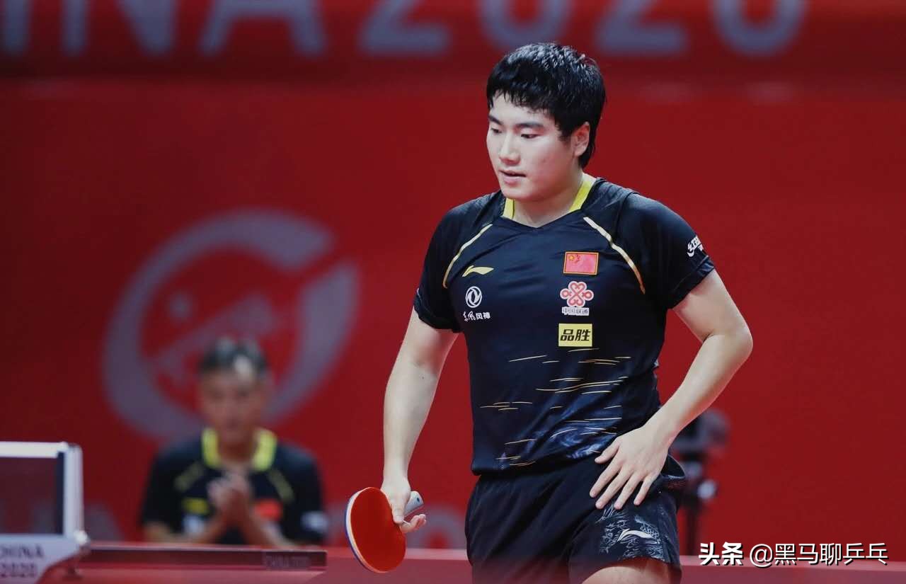 每周乒器观察57:大胖的“度数”,金标Vis,飞龙