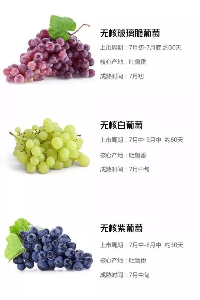 新疆的瓜果几月份成熟,新疆目前应季水果