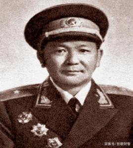 崇阳的将军,崇阳将军