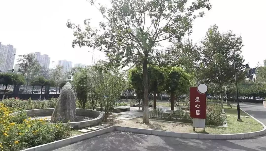 身边的好学校丨北京师范大学奥林匹克花园实验小学:书香花园,培育五色花朵~