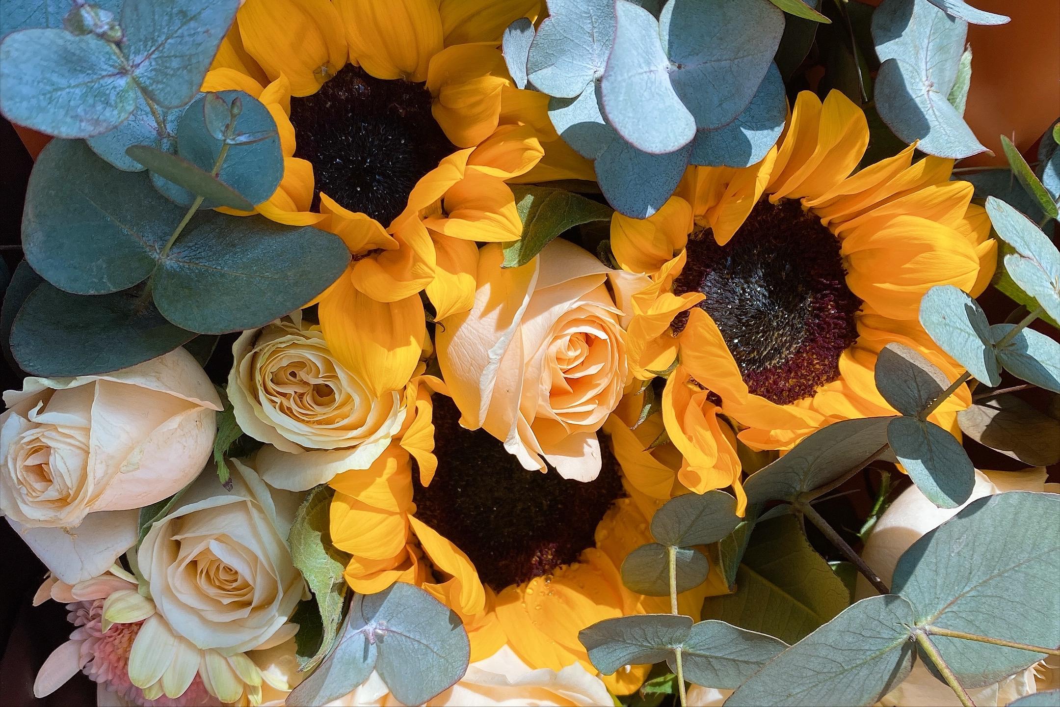 hpv感染cin一级怎么治疗,hpv感染cin3