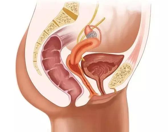 为什么太爱干净反而有坏处,女人身上五个地方不能太干净