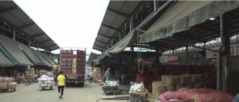 大蒜暴跌的真正原因,大蒜暴涨暴跌采取怎样措施