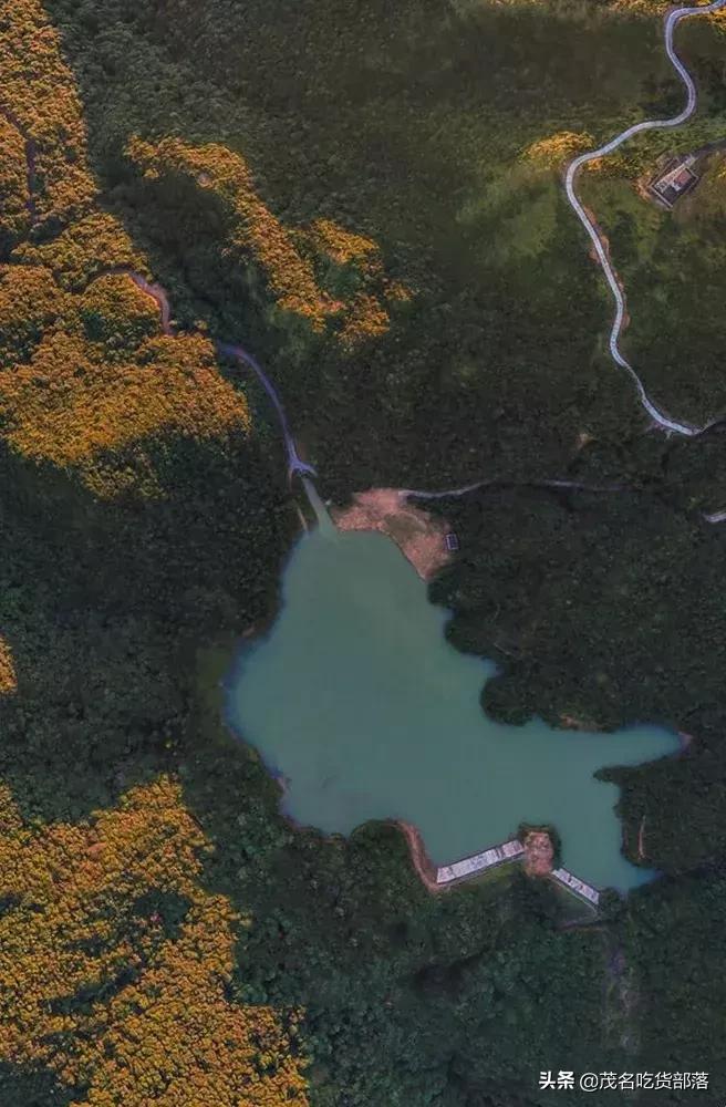 茂名这座城市被誉为什么城,茂名是一座怎样的城市