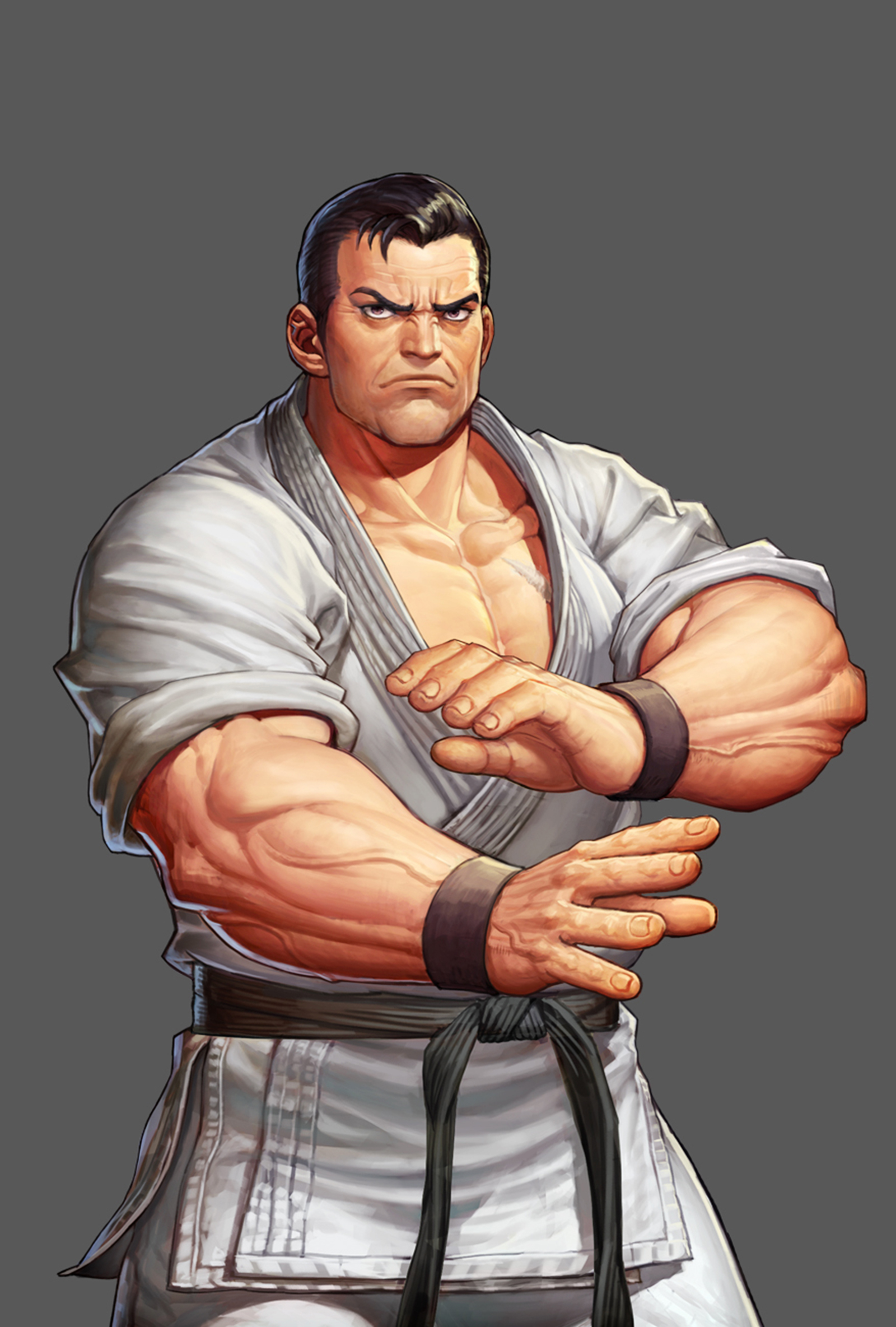 拳皇人物图案,拳皇角色介绍大全图片