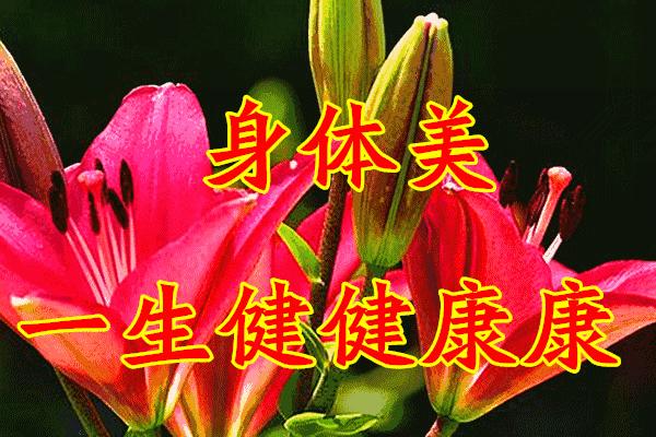 三八妇女节将至祝姐妹们节日快乐,三八妇女节提前祝女友们节日快乐