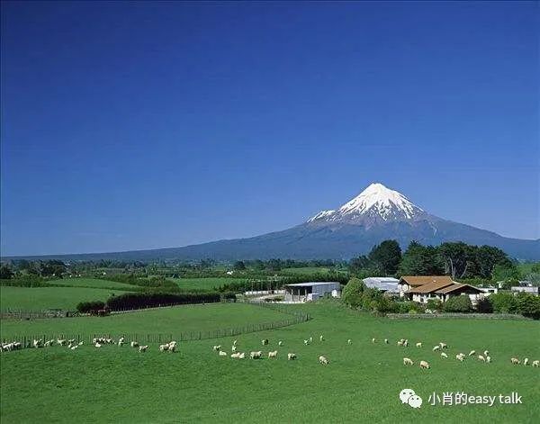 羊绒面料和黄金料面料有什么区别,高档羊毛羊绒面料知识