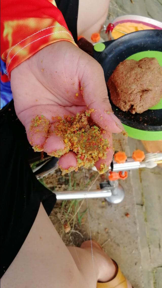 天气转凉大河野钓,天气炎热钓浅滩