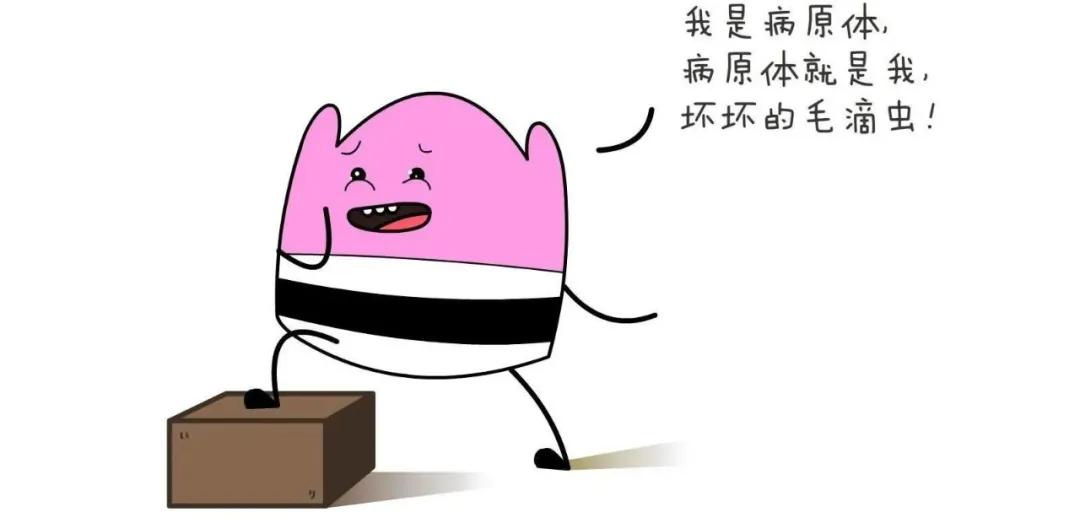 回南天引发的疾病,回南天引起的一些问题