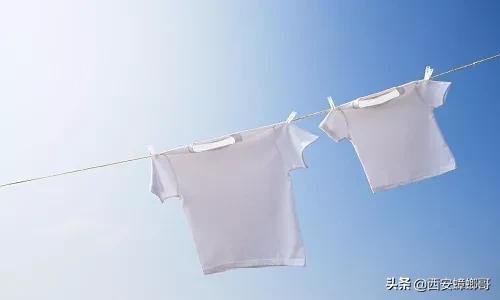 消灭皮蠹虫用什么药,蟑螂幼虫怎么消灭最彻底