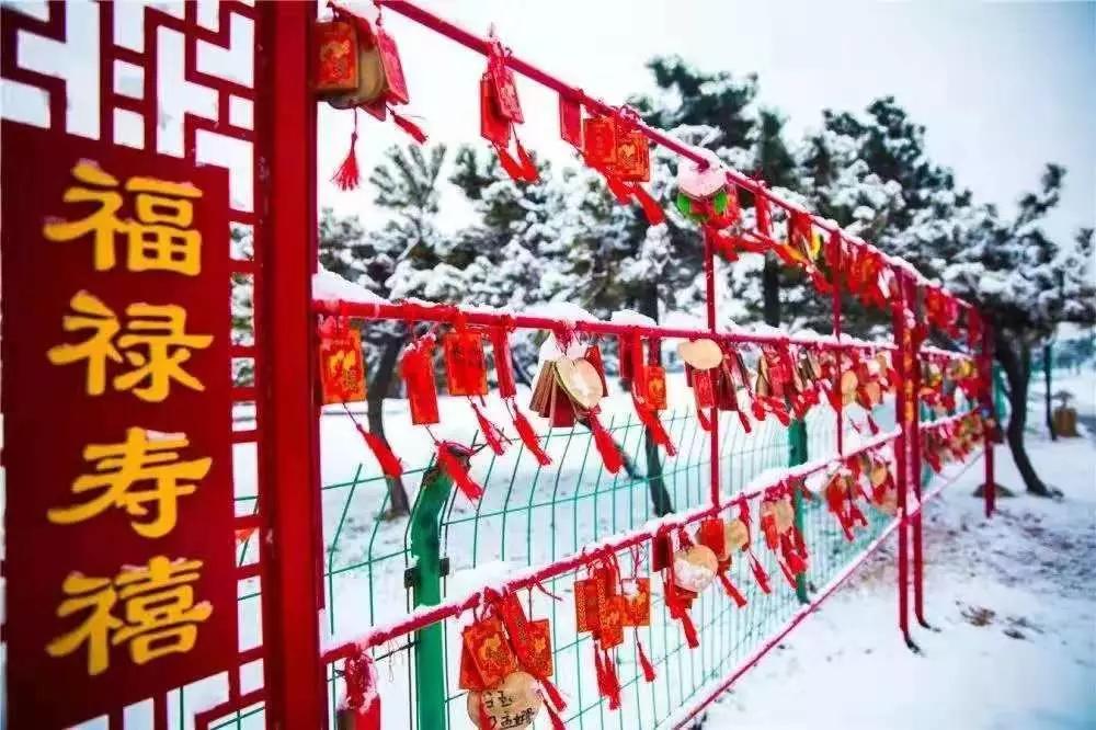 合肥人旅游,合肥春节一日游有哪些好去处