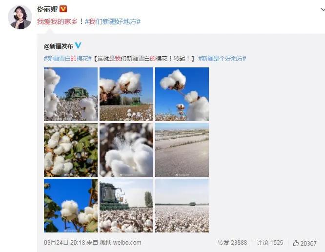 因辱华遭封杀的明星道歉视频,品牌辱华事件对我国影响