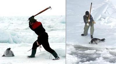 爱斯基摩人奇怪的民俗,爱斯基摩人恐怖的习俗