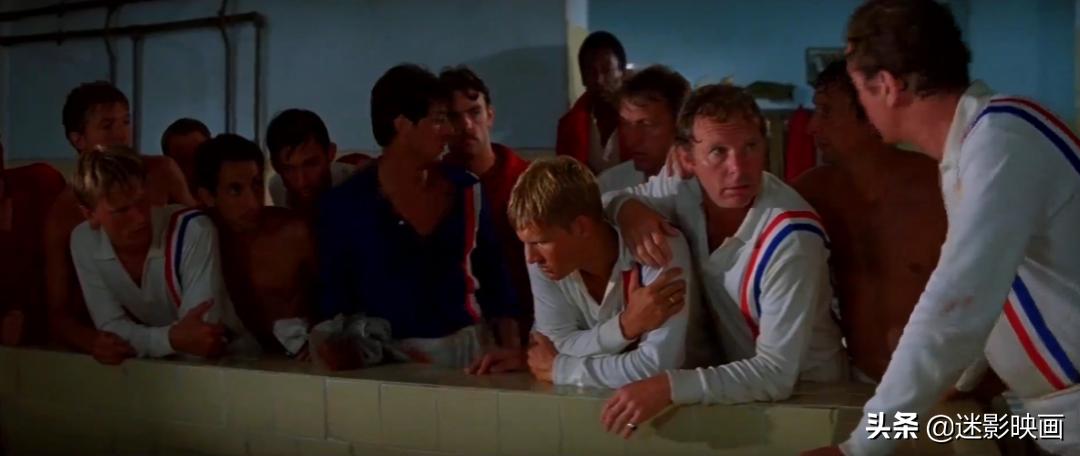 贝利史泰龙主演的电影,贝利和史泰龙合作的电影