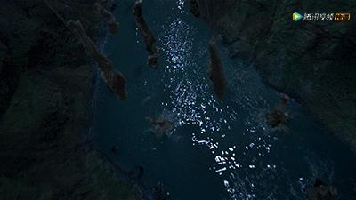 云南虫谷到底还播不播,云南虫谷今天能播么