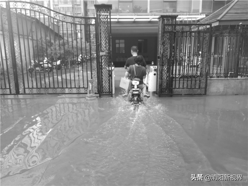 南阳八月七日下午这场雨，说来就来也不给你打个招乎