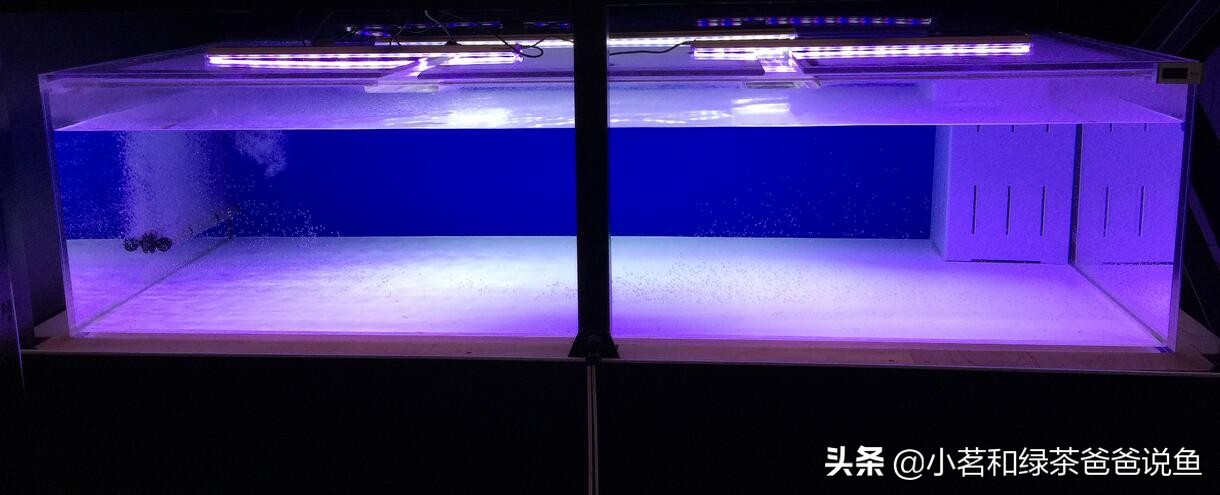 新买鱼缸怎样处理才能养鱼,新买的鱼缸要怎么处理才能养鱼