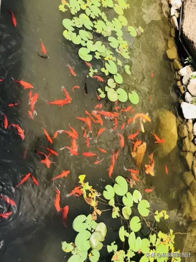 庭院景观设计——这样的庭院景观，生活可以过成诗一般！