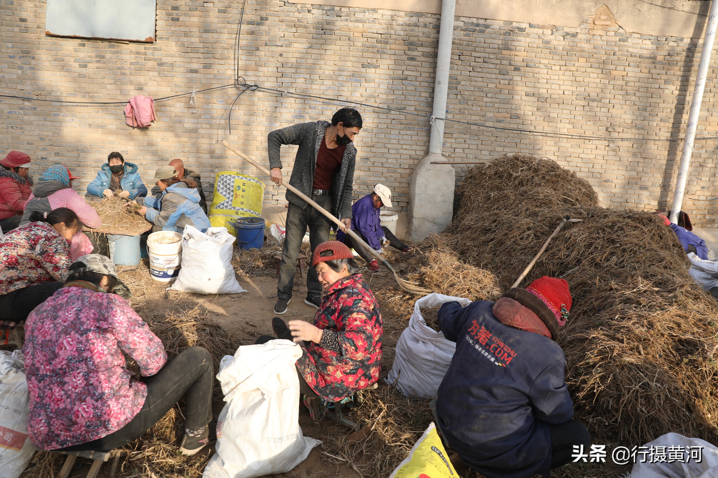 山西1群妇女聚在墙角干无本生意，冠军1天能挣100元，干的啥