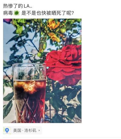 华人回国最新通告,中国华人为什么要回国