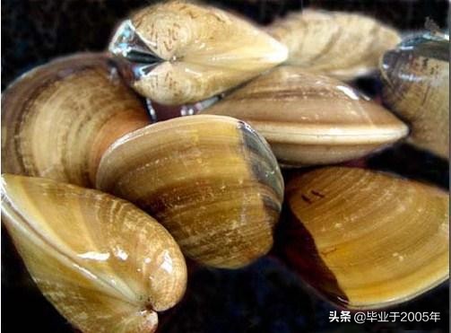 大连常见的海鲜美食都有哪些,大连海鲜吃货大全