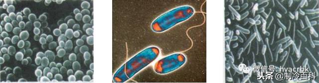 中央空调系统清洗保养攻略图解,大金中央空调清洗方法视频教程