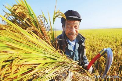 女占三大必寡啥意思,女占三八必为寡指哪三八