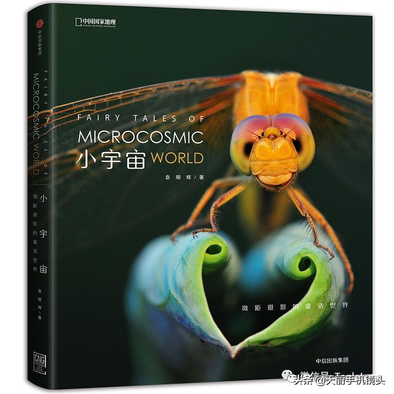 天丽摄影作品集,天丽镜头视频完整版