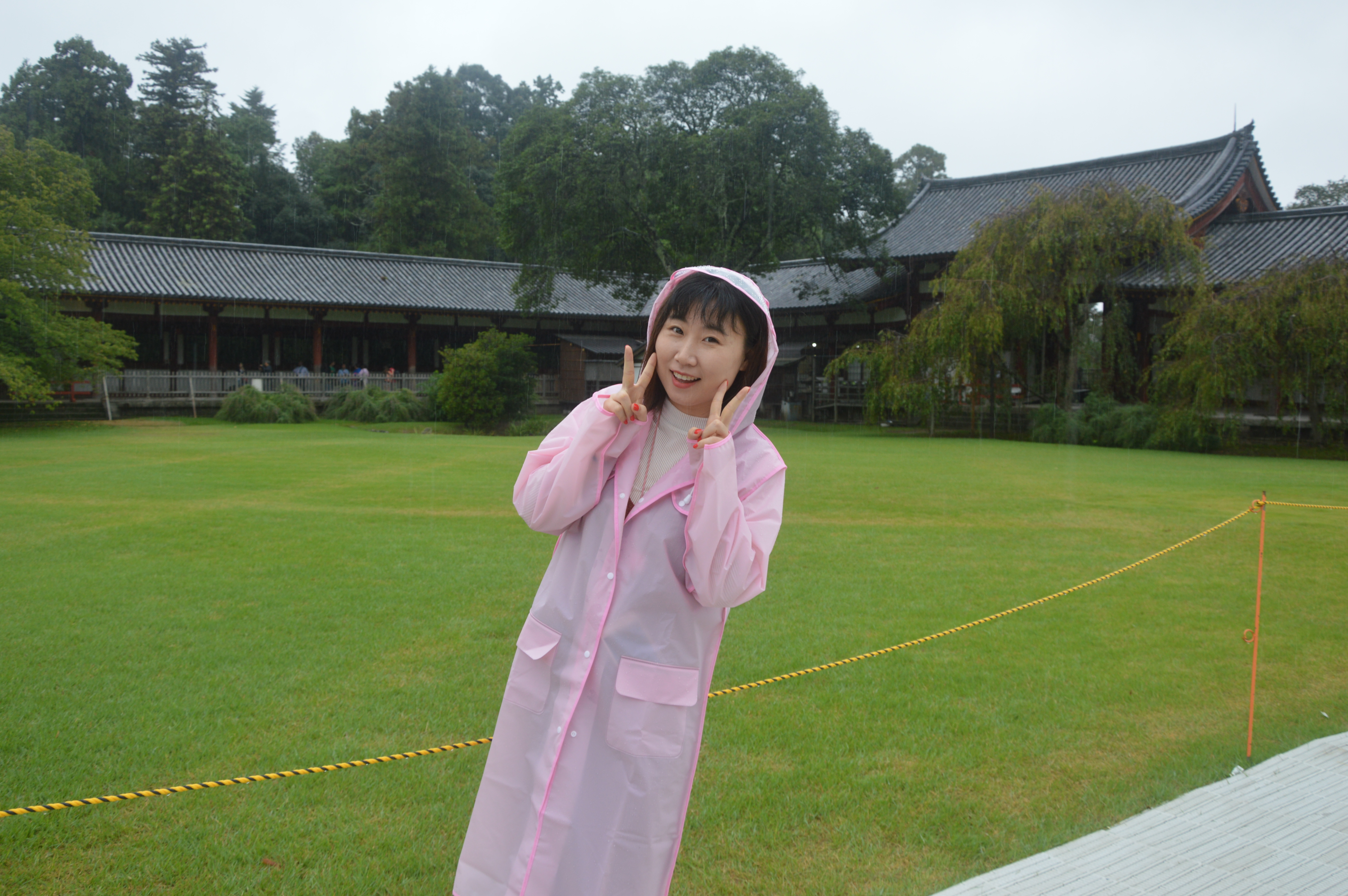 日本本州六日游攻略,日本本州旅游六日游