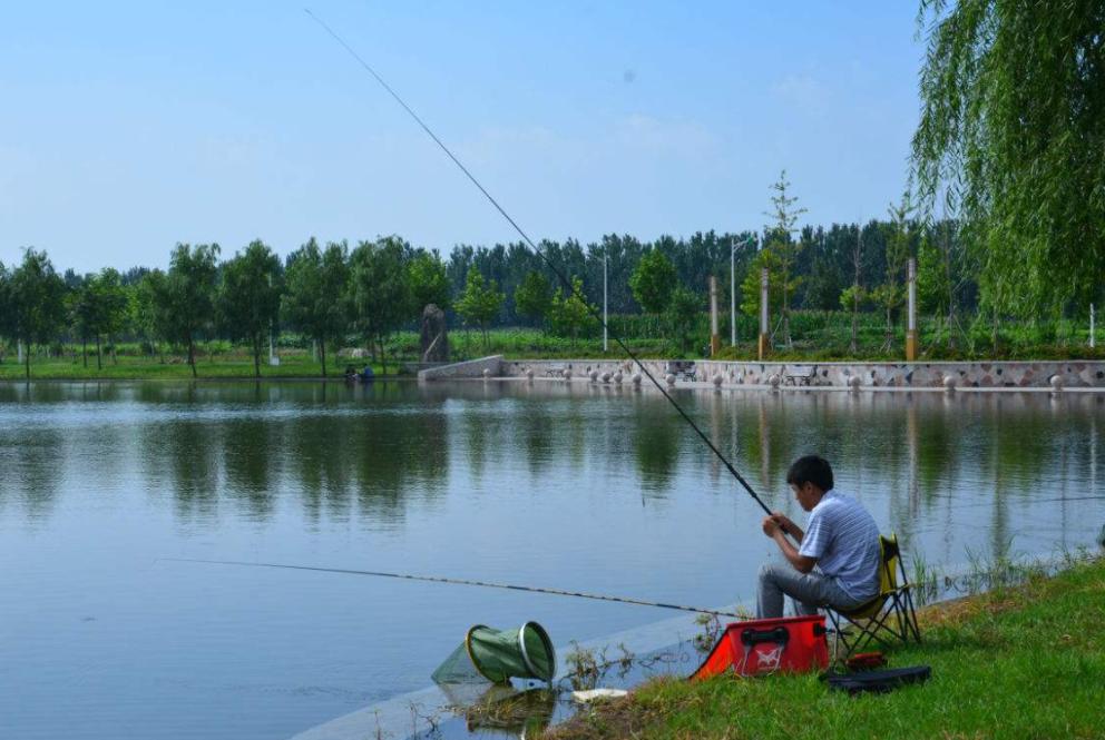钓鱼新手先学钓什么鱼,钓好鱼要合理的选择和搭配
