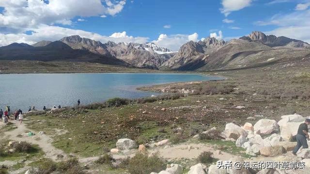 快递没收到却已被签收怎么办,网友买的货没收到