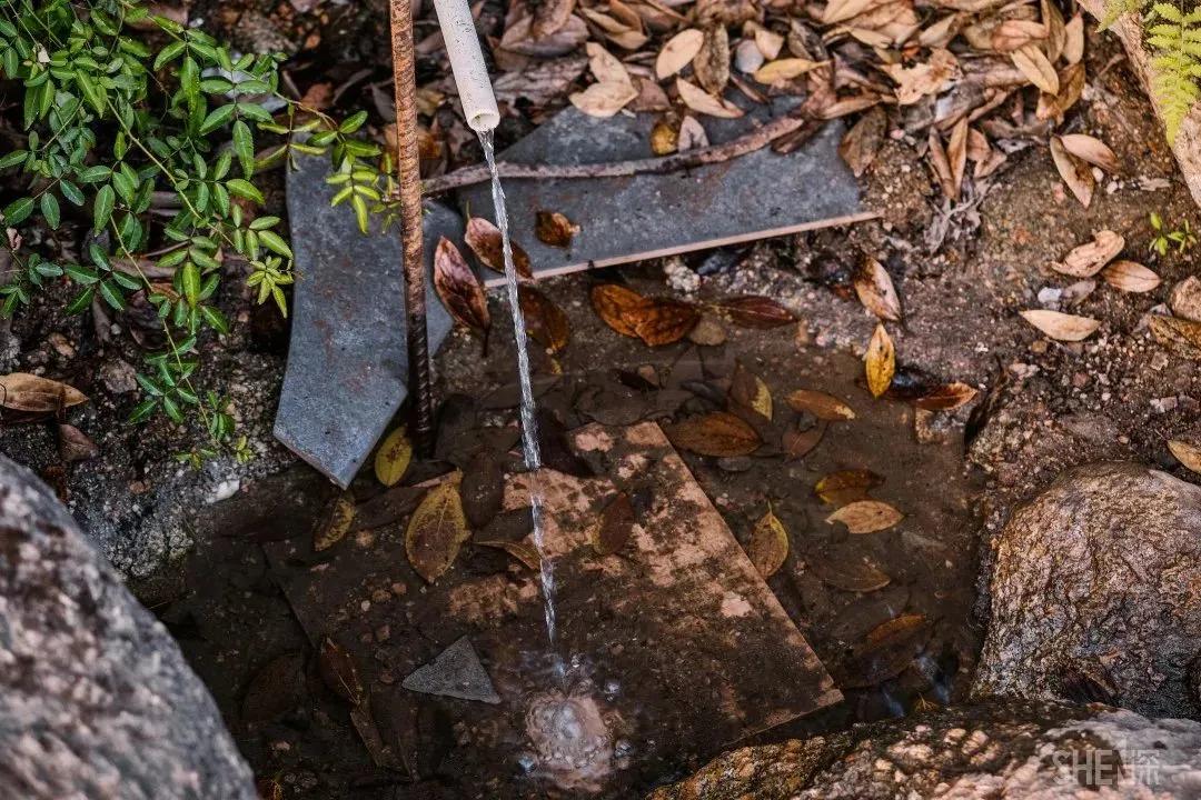 深圳首条手作“原始登山道”,人少好爬景色超美…过年去哪不用愁