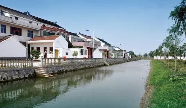 西来镇推进校企深度合作